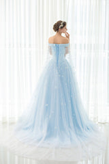 A Line Off-the-shoulder Sweep/Brush Train Sleeveless Long Tulle Prom Dress/Evening Dress OHC134