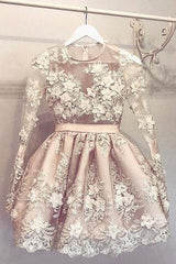 A-Line Jewel Long Sleeves Homecoming Dress with Appliques OHM066