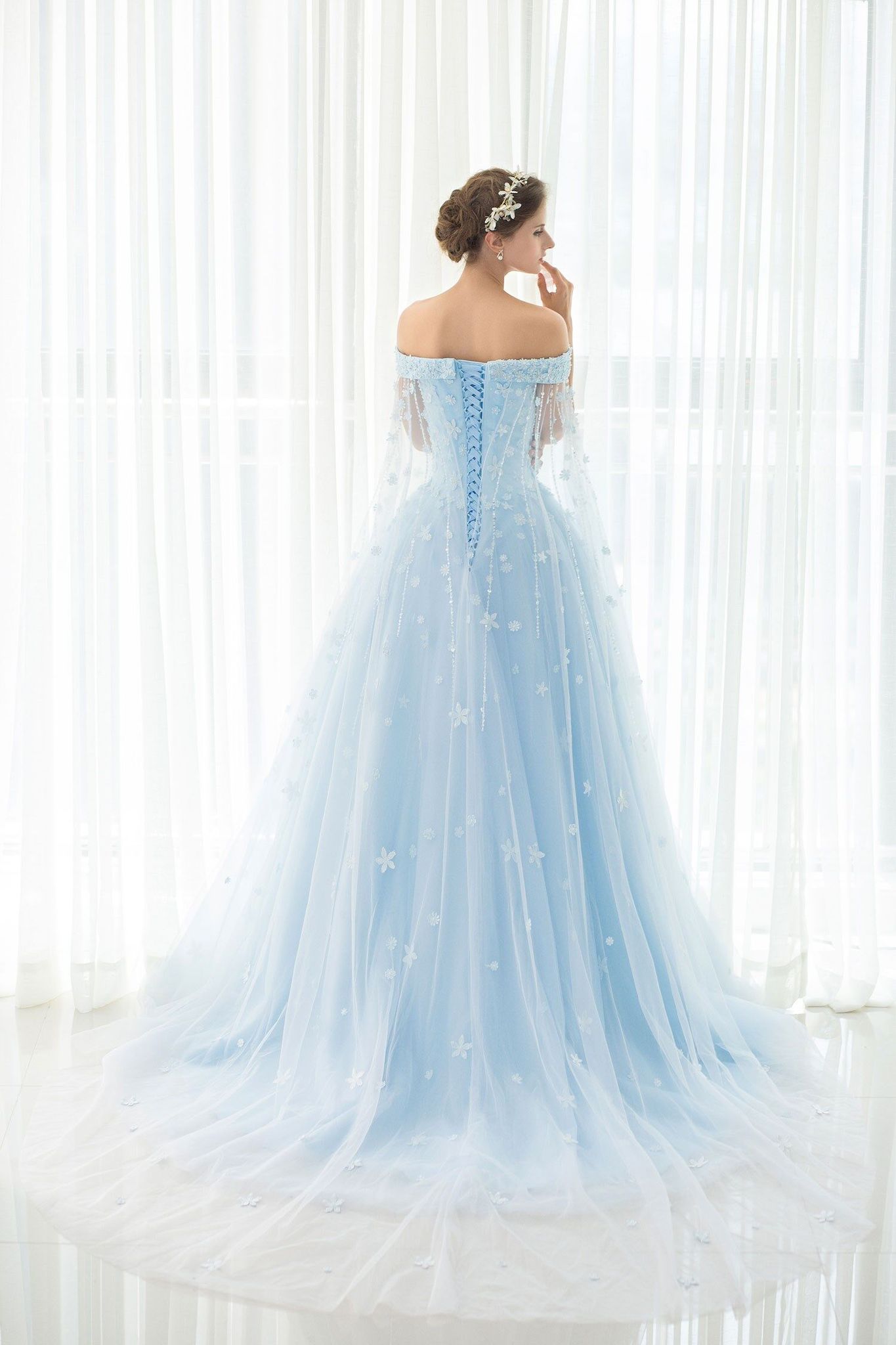 A Line Off-the-shoulder Sweep/Brush Train Sleeveless Long Tulle Prom Dress/Evening Dress OHC134