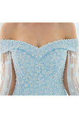 A Line Off-the-shoulder Sweep/Brush Train Sleeveless Long Tulle Prom Dress/Evening Dress OHC134